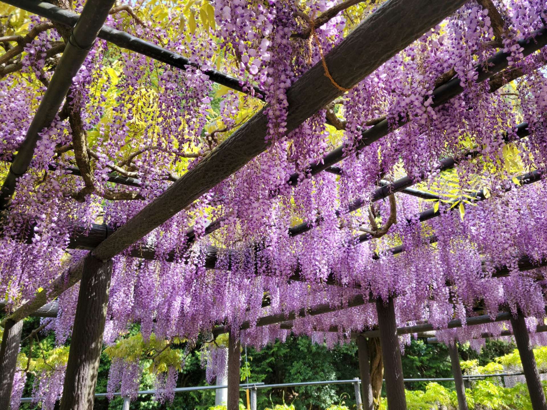 合同会社ハートフル